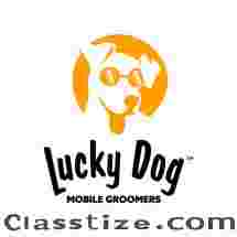 Lucky Dog Mobile Groomers