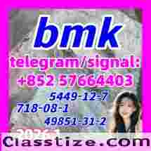 5449-12-7, BMK Powder, BMK oil, Netherlands 