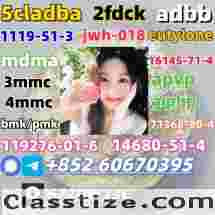 Safe delivery CAS 119276-01-6 China factory