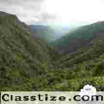 North East Tour Package – Discover Scenic Hills, Valleys & Culture 