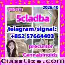 5cladba raw material 5CL-ADB-A precurs