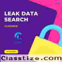 Leak Data Search