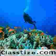 Exclusive Andaman Tour Package from Kolkata with Direct Flight Connectivity || NatureWings Holidays Limited