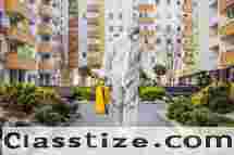 Best Pest Control Services Near Me for Safe & Effective Protection