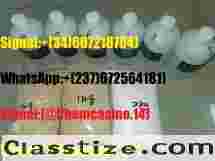 Buy pmk CAS:1451-82-7/CAS:49851-31-2/CAS: 5449-12-7/CAS:28578-16-7 online