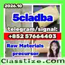 For Rent: 5cladba Precursor 5cl Raw
