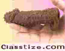 Buy Sleeve Sex Toys in Rajkot to Spice up Marriage Life