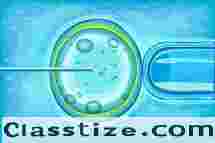 High Success IVF Services in Bangalore - Best fertility hospital in Bangalore - Best fertility doctor in Bangalore - Best IVF doctor in Bangalore - Best IVF hospital in Bangalore - Consult Now