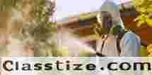 Trusted Pest Control Services for Safe Living  