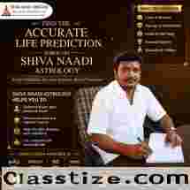 Marriage Prediction & Life Guidance with Shiva Naadi Astrology