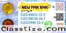 Feedstocks P-MK CAS28578-16-7 CAS5449-12-7/ 49851-31-2