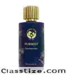 Not Just a Dog… A Gentleman