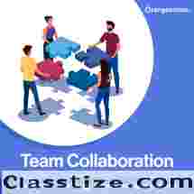Enhance Workplace Productivity with Top-rated Collaboration Software