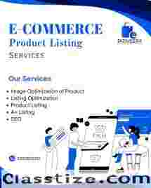 DiziVEERA - Ecommerce Seller Account Management Services in indore