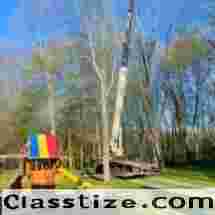 Tree Maintenance in North NJ – Amazing Tree Services