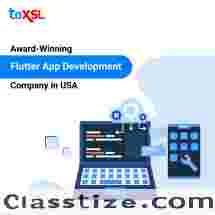Hire Flutter App Developers in USA - ToXSL Technologies