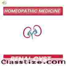 A Comprehensive Guide on Homeopathic Kidney Treatment