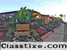 “Affordable Pet-Friendly Cottages in San Diego: Cozy, Budget-Smart Stays by the Beach by Blue Heron Cottages”