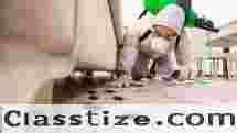 Best Pest Control Services in Hyderabad – AJL Pest Control