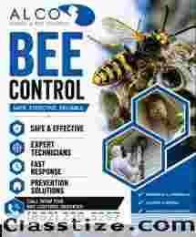 Bee Control in NJ – ALCO Animal & Pest Control
