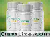 Can Vital CBD help boost daily energy levels?