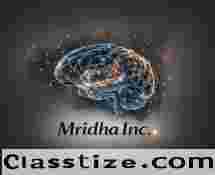 Digital Marketing Agency in USA – Expert Strategies for Growth