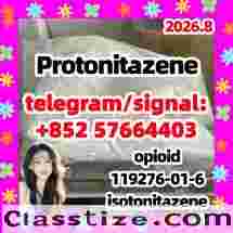 Protonitazene CAS:119276-01-6