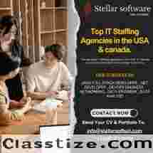 Top IT Staffing Agencies in the USA