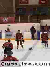 Digital Stickhandling Trainer