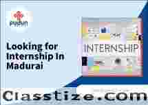 Looking for Best Internship Opportunities