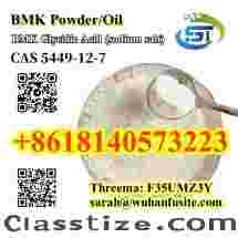 CAS 5449-12-7 BMK Glycidic Acid (sodium salt) With Best Price