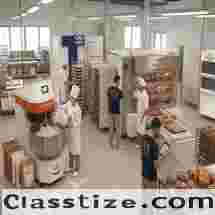 Bakery Consultancy UAE – Expert Bakery Setup & Equipment Guidance