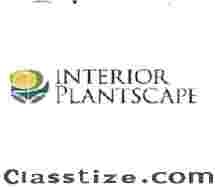 Interior Plantscapes