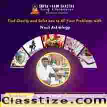 The Best Nadi Astrologer in Mumbai