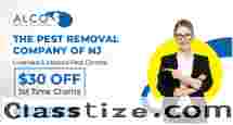 Pests of Spring in NJ - ALCO Animal & Pest Control