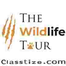 Wildlife Adventures: Tiger Safari India