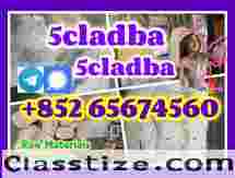 CAS 1119-51-3  5-Bromo-1-pentene  5cladba Raw Materials precursor，5Cladba 5Cladba Yellow  telegram/signal+852 65674560  5cladba Raw Materials precursor，5Cladba 5Cladba Yellow Cannabinoid Powder 5CL Strongest cannabis 5f abd 5cladba powder 5cl-adb-a jwh-018 lowest price large stock   5fadb adbb jwh-018 Cannabinoids 1119-51-3 68-12-2 dmf k2 584-08-7 109555-87-5  43120-28-1 alprazolam 28981-97-7 benzodiazepines    bromazolam 71368-80-4  etizolam 40054-69-1  802855-66-9 eutylone 3mmc 4mmc 17764-18-0 mdma PMK 28578-16-7 powder oil ethyl glycidate 1369021-80-6 1451-82-7  BMK 5449-12-7 powder oil glycerin acid  49851-31-2  718-08-1 119276-01-6 protonitazene opioid isotonitazene metonitazene 14188-81-9 14680-51-4  China factory supply China supplier hot sale safe delivery door to door new formula top quality source factory yellow And  white powder best price free sample the warehouse has goods in stock telegram/signal+852 65674560 