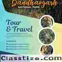Explore Bandhavgarh Tiger Reserve – A Famous National Park in Madhya Pradesh