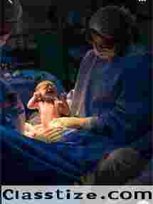 Best Gynecology Doctor In Padmarao Nagar, Secunderabad  