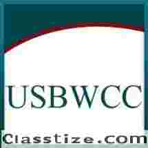 Black Women-Owned Business Support and Development