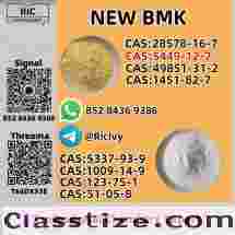 5449-12-7 New B.MK Glycidic Acid Powder 