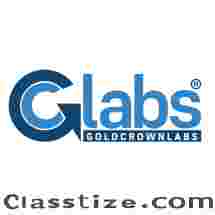 Mobile App Development Service