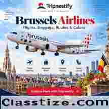 Brussels Airlines: Flights, Baggage, Routes & Cabin Guide | Tripnestify