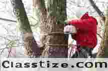 Transparent Tree Removal Cost in Bergen County, NJ