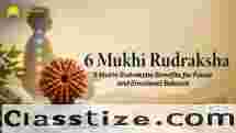 6 Mukhi Rudraksha Benefits for Focus and Emotional Balance