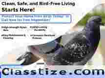 Keep Birds Away with Invisible Grills in Jaipur