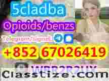 5cladba 5cladba Yellow Powder 5CL-ADB-A 5F-Adb 5Fadb