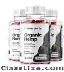 Can Wilder Leaf Organic Hemp help with pain relief?