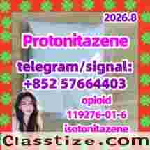 Protonitazene CAS:119276-01-6