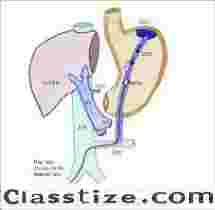 Role of Portal Hypertension Radiology in Diagnosis
